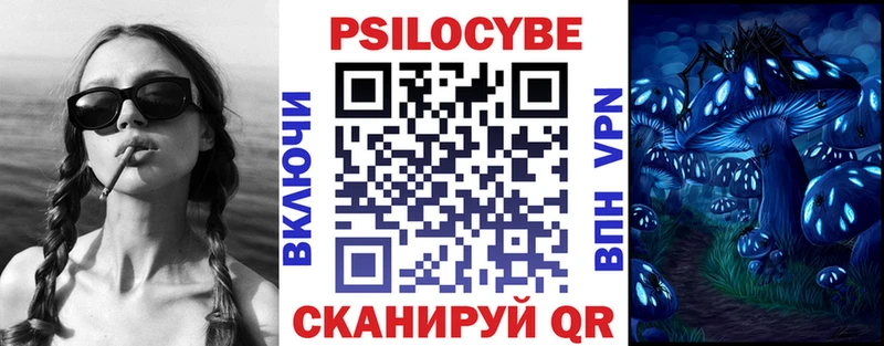 Псилоцибиновые грибы прущие грибы  Свободный 